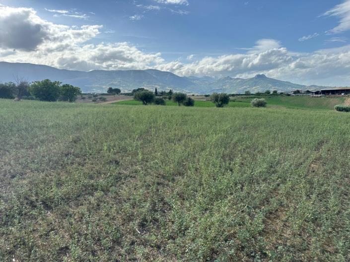 Image No.27-Terre à vendre à Civitaguana