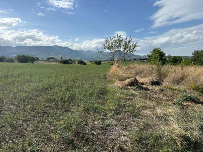 Image No.28-Terre à vendre à Civitaguana