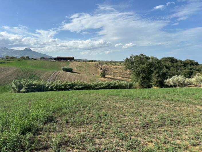 Image No.29-Terre à vendre à Civitaguana