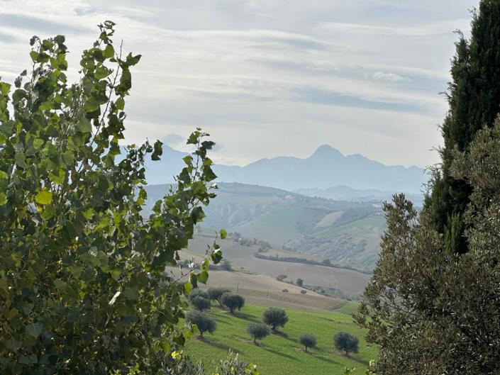 Image No.12-3 Bed Property for sale