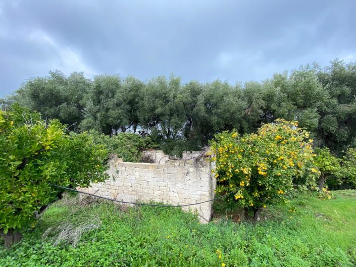 Image No.2-Farmhouse for sale