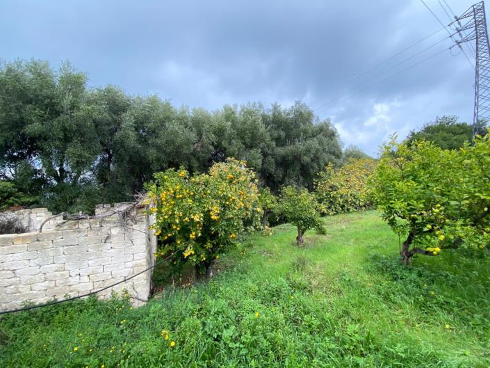 Image No.3-Farmhouse for sale