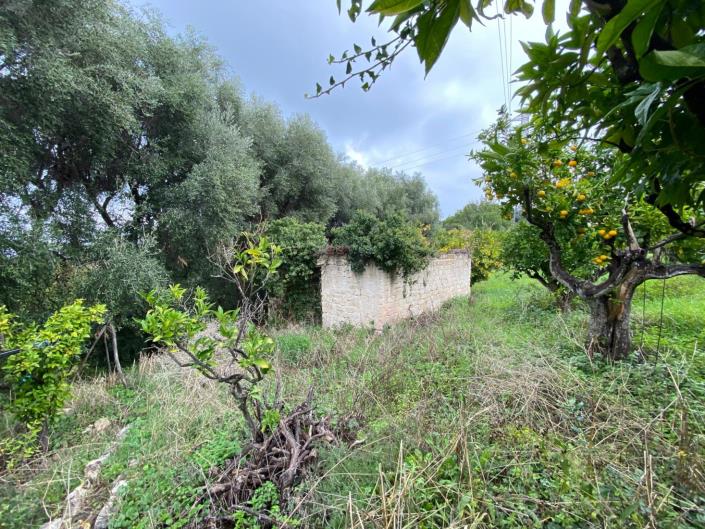 Image No.5-Farmhouse for sale