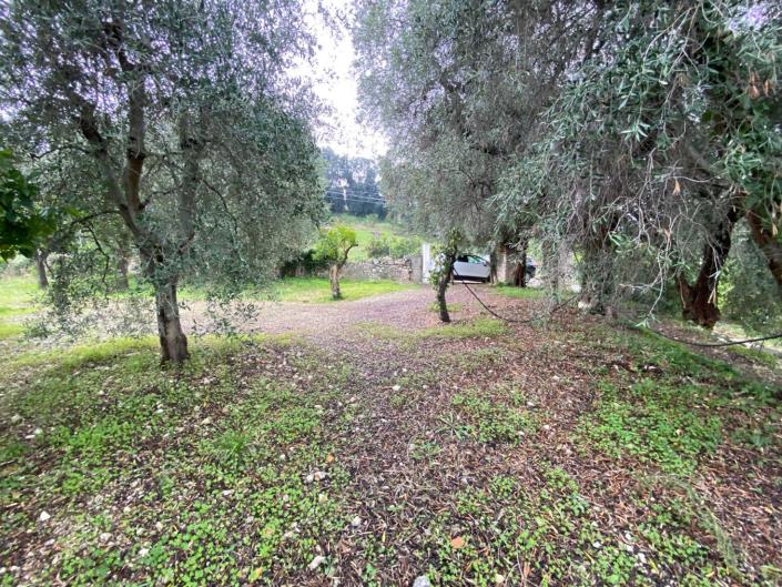 Image No.8-Farmhouse for sale