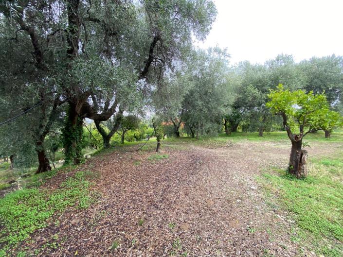 Image No.9-Farmhouse for sale