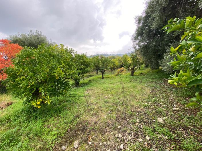 Image No.11-Farmhouse for sale