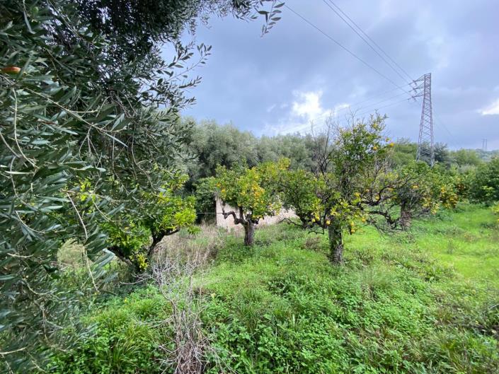 Image No.12-Farmhouse for sale