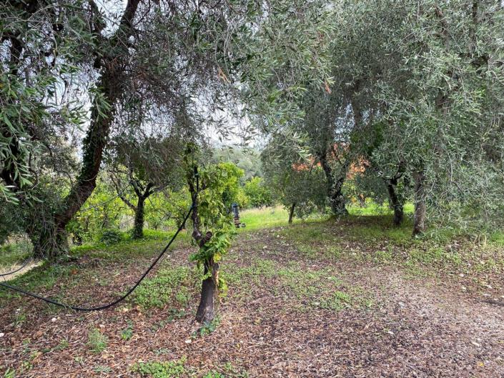 Image No.14-Farmhouse for sale