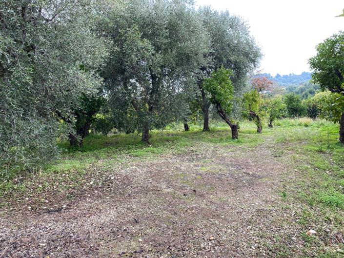 Image No.13-Farmhouse for sale