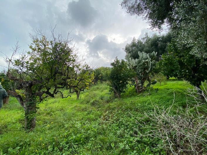 Image No.15-Farmhouse for sale