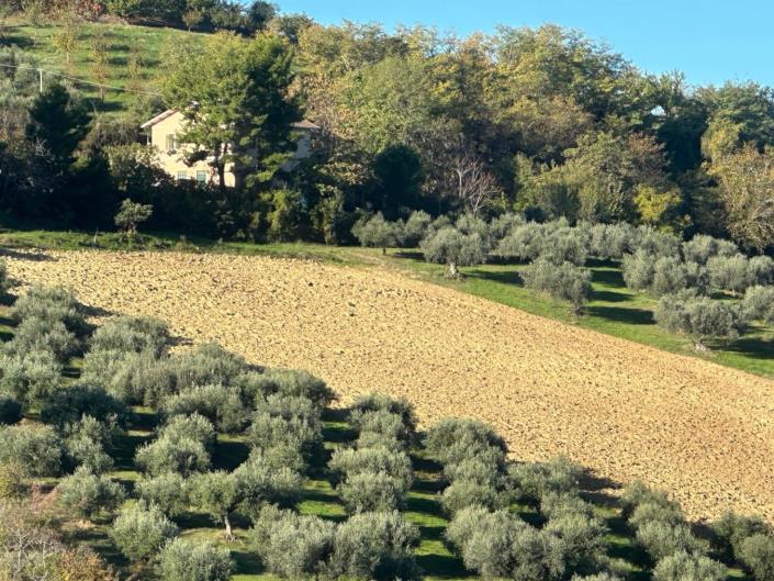 Image No.6-2 Bed Property for sale