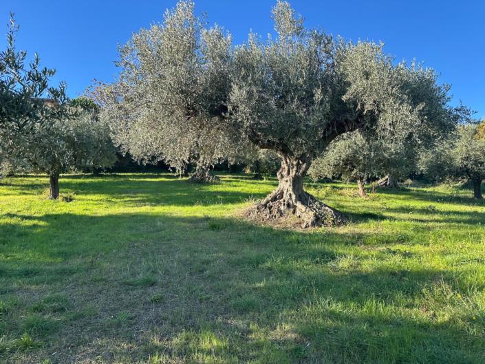 Image No.8-2 Bed Property for sale