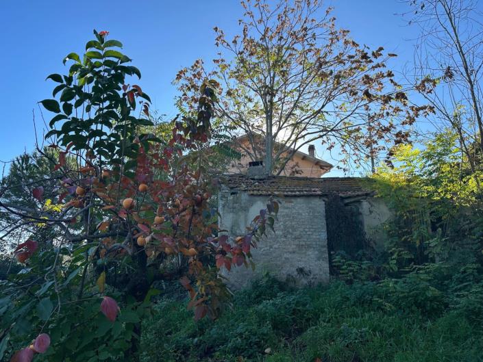 Image No.25-2 Bed Property for sale