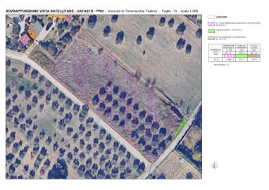 1-Sovrapposizione-ORTOFOTO-catasto-PRG-1-500_1