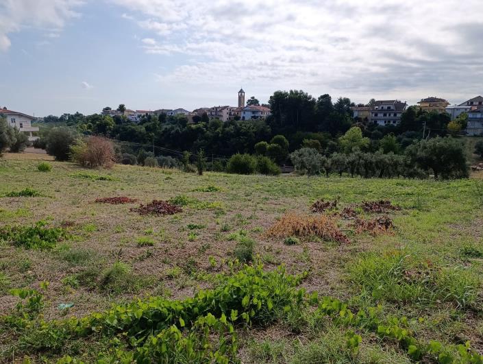 Image No.3-Land for sale