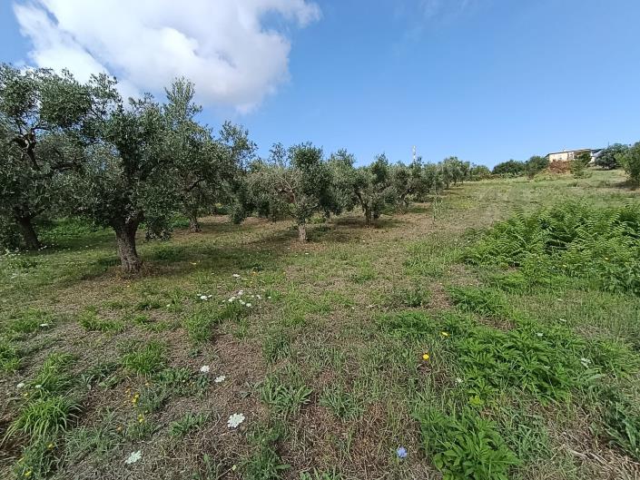 Image No.5-Land for sale