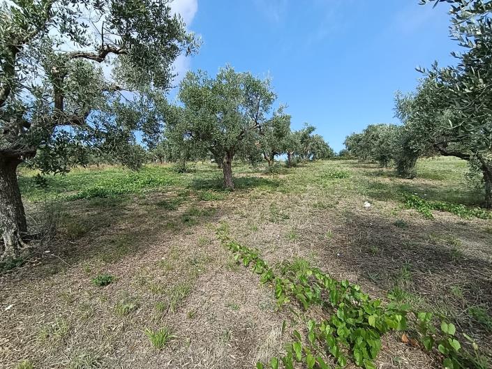 Image No.6-Land for sale