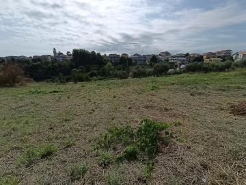 9-WhatsApp-Image-2025-09-23-at-20-27-04--4-