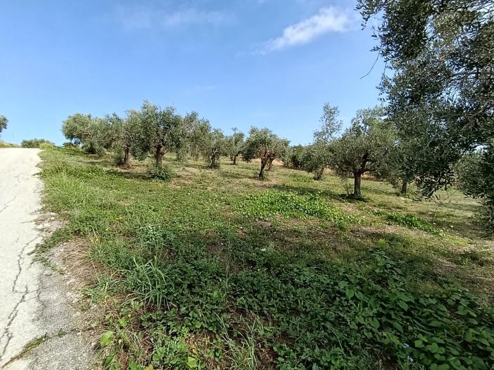 Image No.9-Land for sale