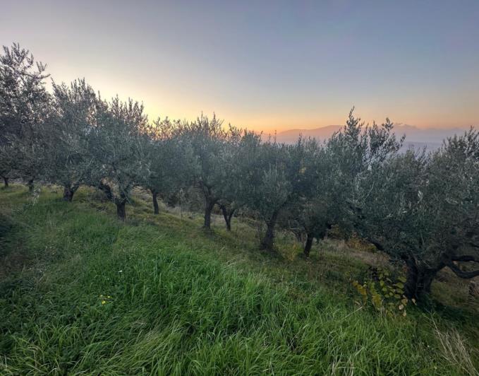 Image No.17-Propriété à vendre à Lettomanoppello