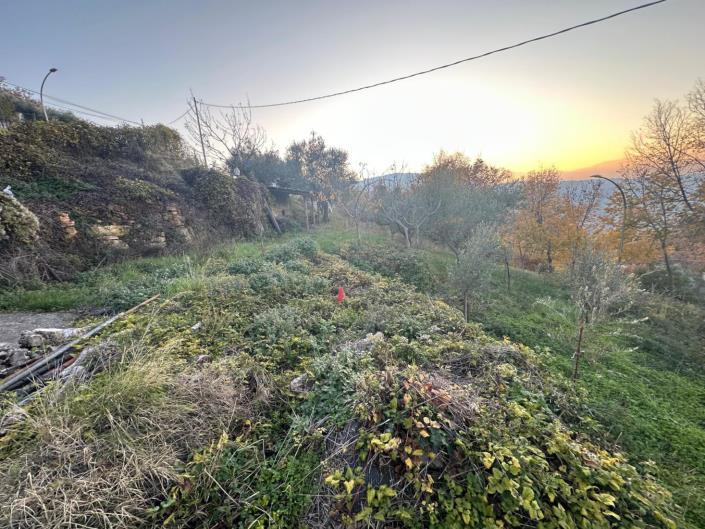 Image No.20-Propriété à vendre à Lettomanoppello