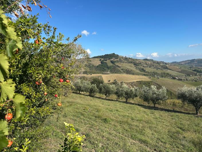 Image No.29-2 Bed Semi-Detached for sale