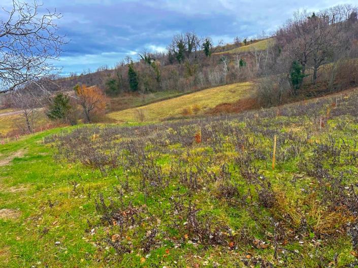 Image No.9-2 Bed Property for sale