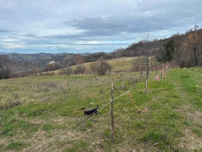 Image No.41-2 Bed Property for sale