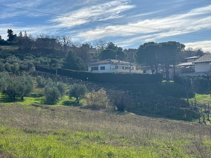 Image No.3-3 Bed House/Villa for sale