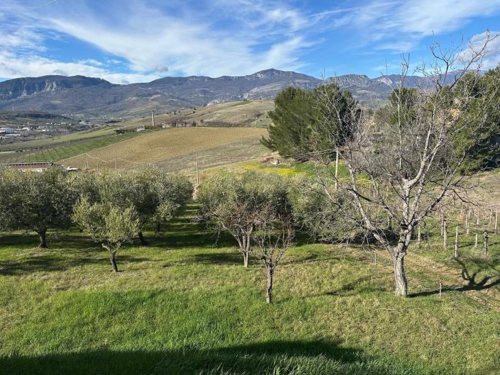 Image No.14-3 Bed House/Villa for sale