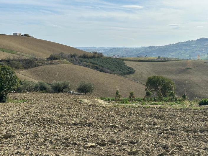 Image No.6-6 Bed Property for sale