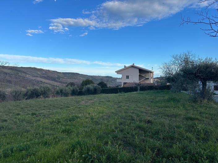 Image No.4-Terre à vendre à Atri