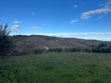 WhatsApp-Image-2026-01-30-at-17-02-38