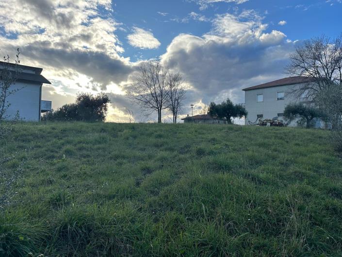 Image No.7-Terre à vendre à Atri