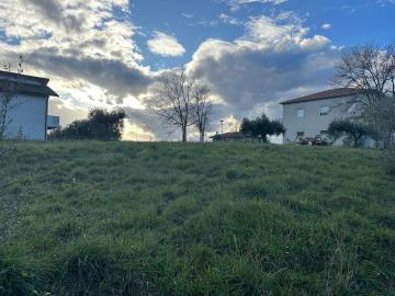 WhatsApp-Image-2026-01-30-at-17-02-41--2-