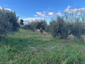 WhatsApp-Image-2026-01-30-at-17-02-41--3-