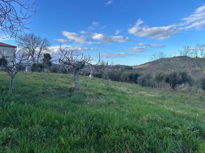 Image No.9-Terre à vendre à Atri