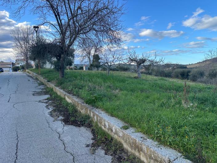 Image No.3-Terre à vendre à Atri