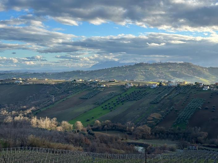 Image No.2-Terre à vendre à Atri