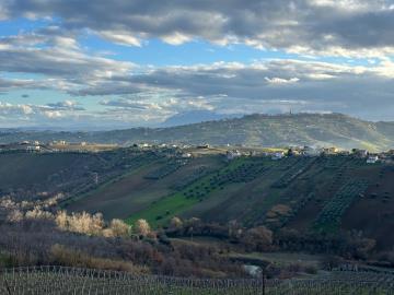 WhatsApp-Image-2026-01-30-at-17-02-41--16-