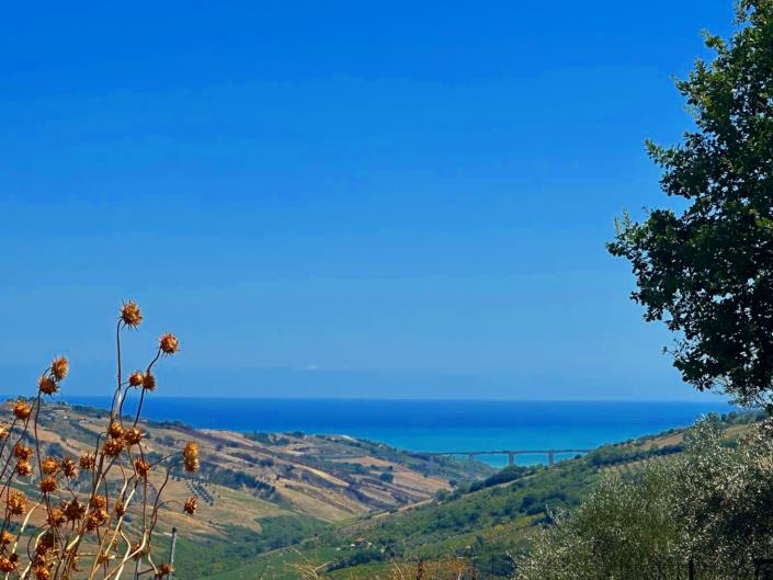 Image No.2-Propriété à vendre à Atri