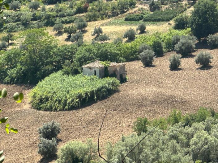 Image No.3-Propriété à vendre à Atri