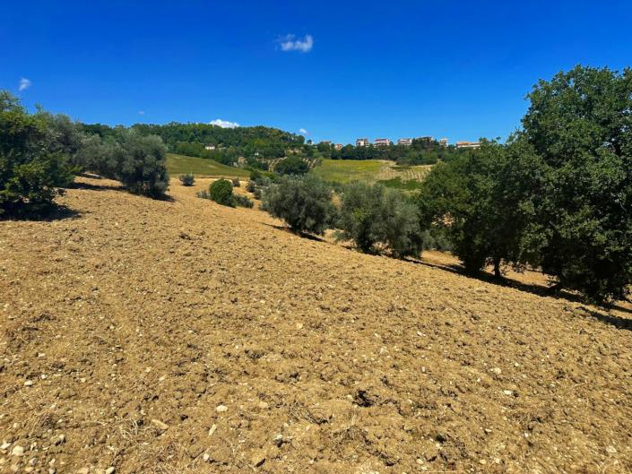 Image No.12-Propriété à vendre à Atri