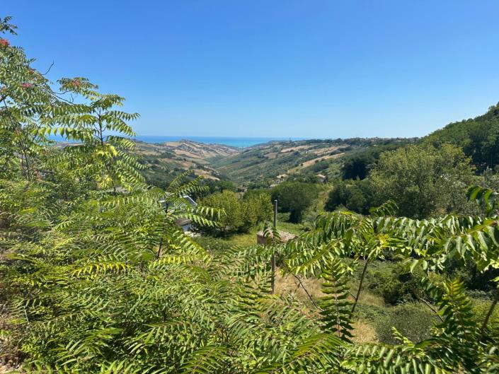 Image No.15-Propriété à vendre à Atri