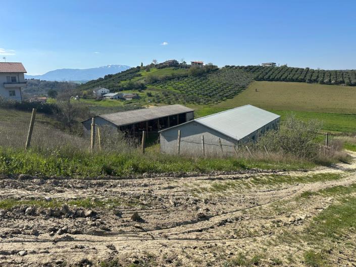 Image No.2-Property for sale