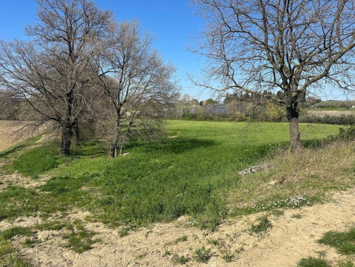 Image No.5-Land for sale