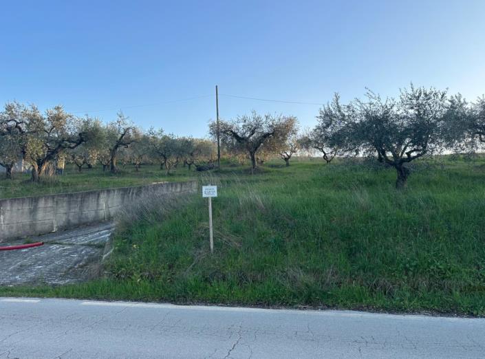 Image No.3-Land for sale
