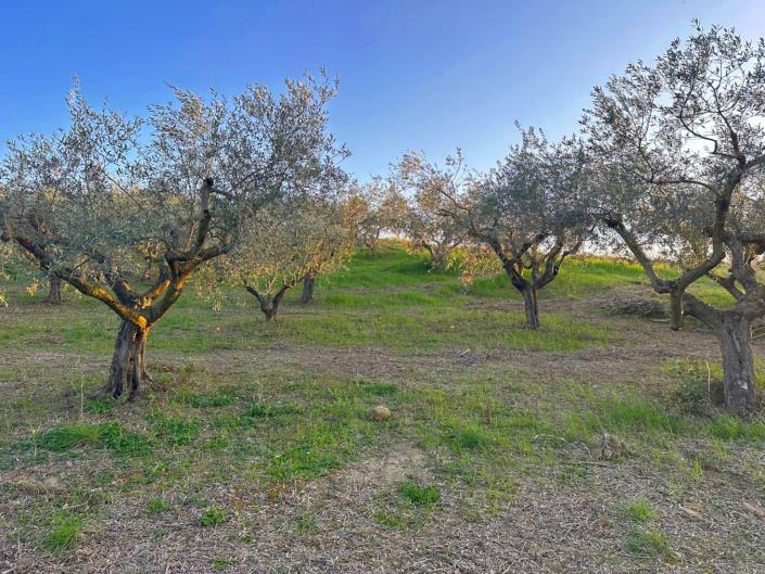 Image No.6-Land for sale