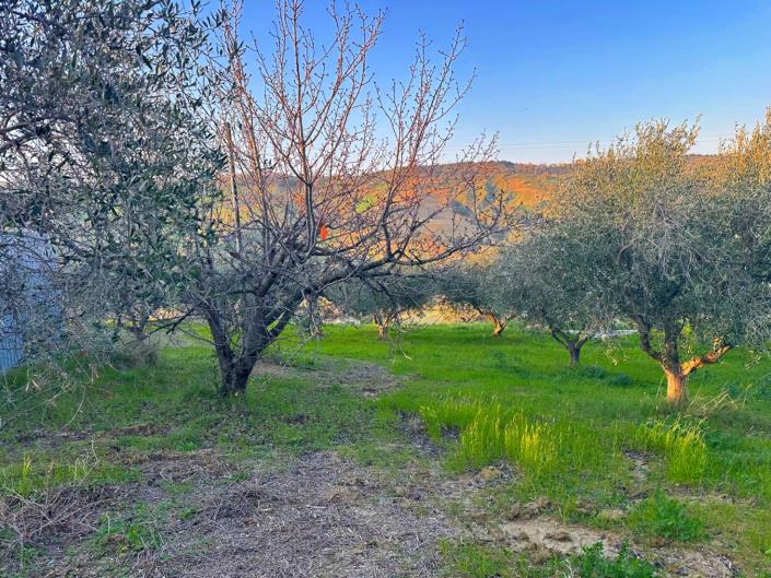 Image No.7-Land for sale