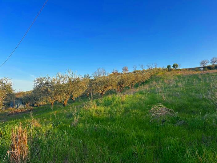 Image No.9-Land for sale